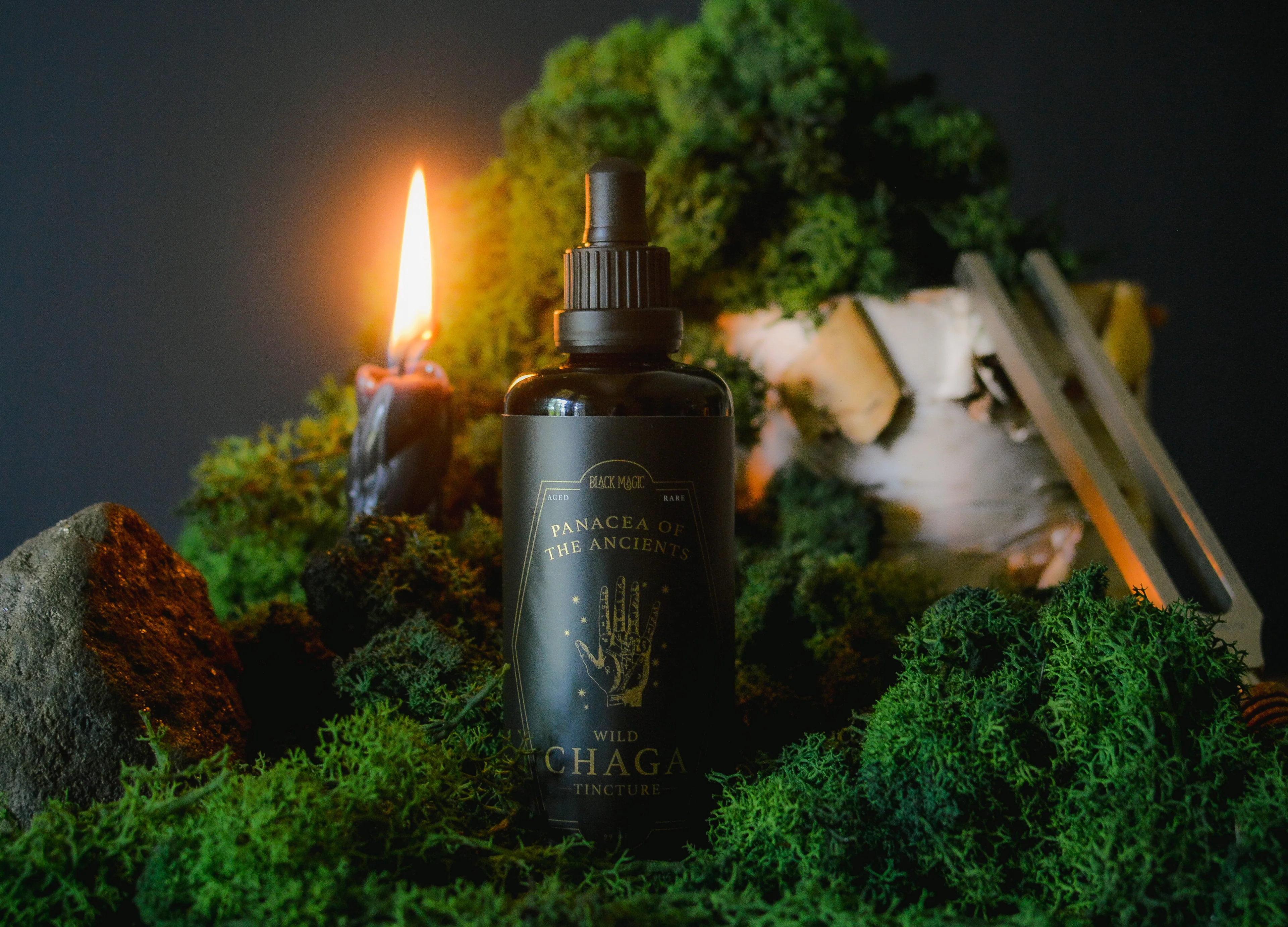 Master Your Mind with Mushrooms