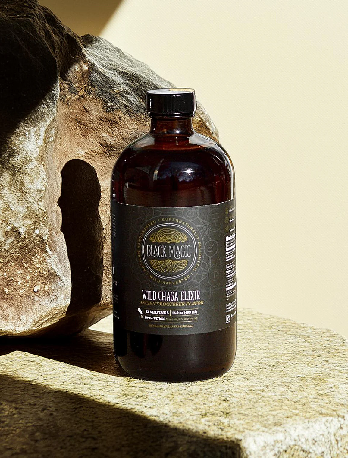 Wild Chaga Mushroom