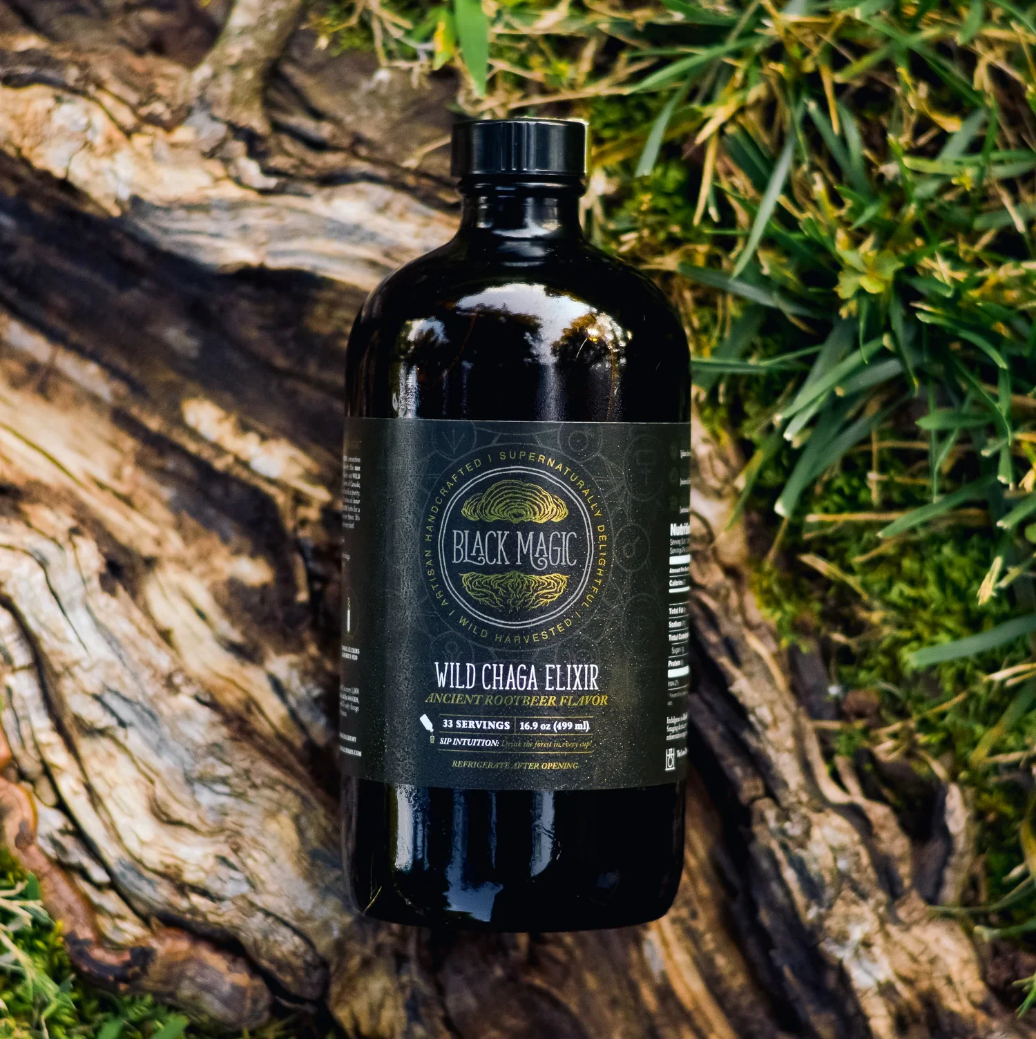 Wild Harvested Chaga Mushroom Rootbeer Elixir - Image 10